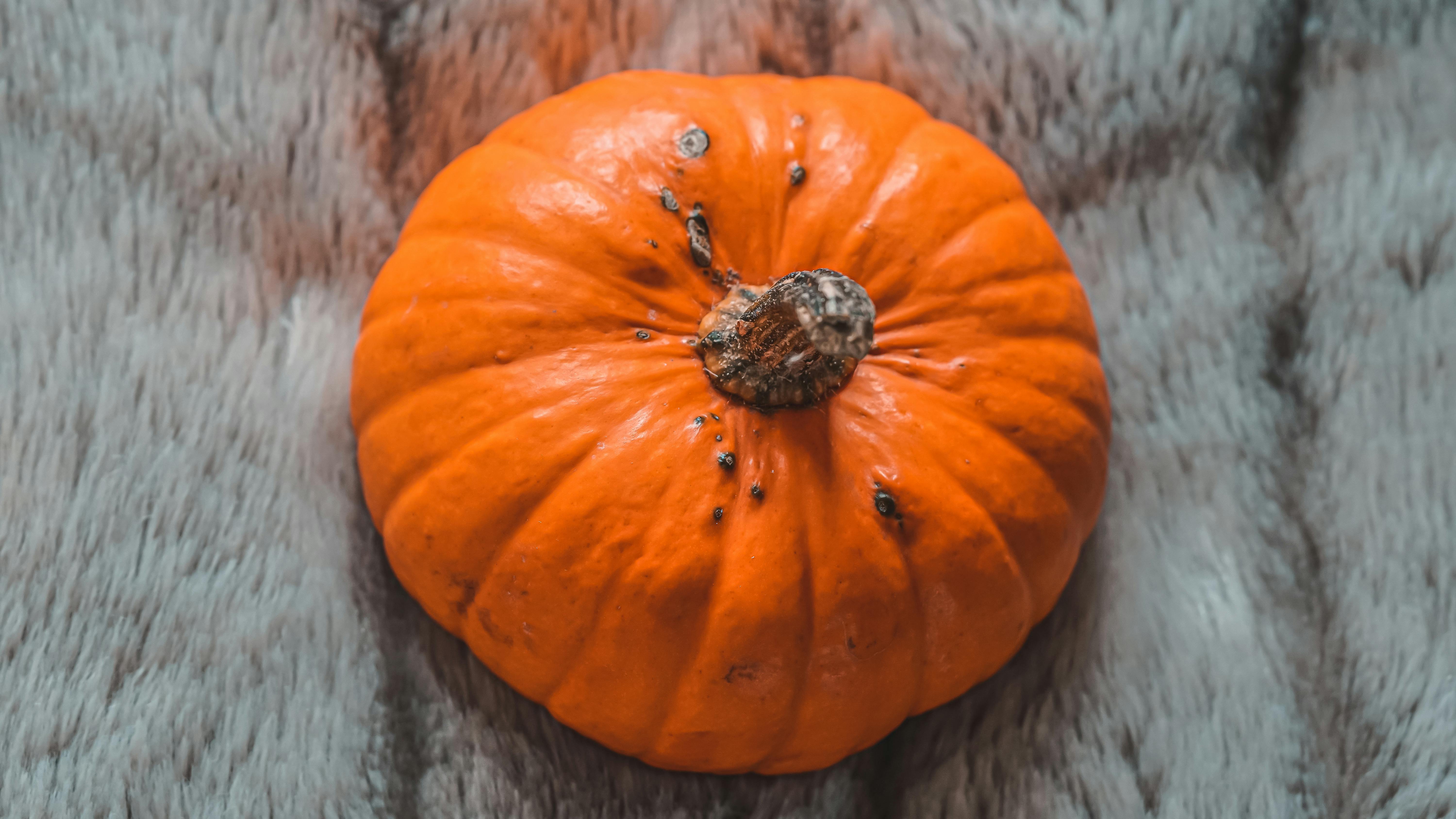 Grey_Pumpkin