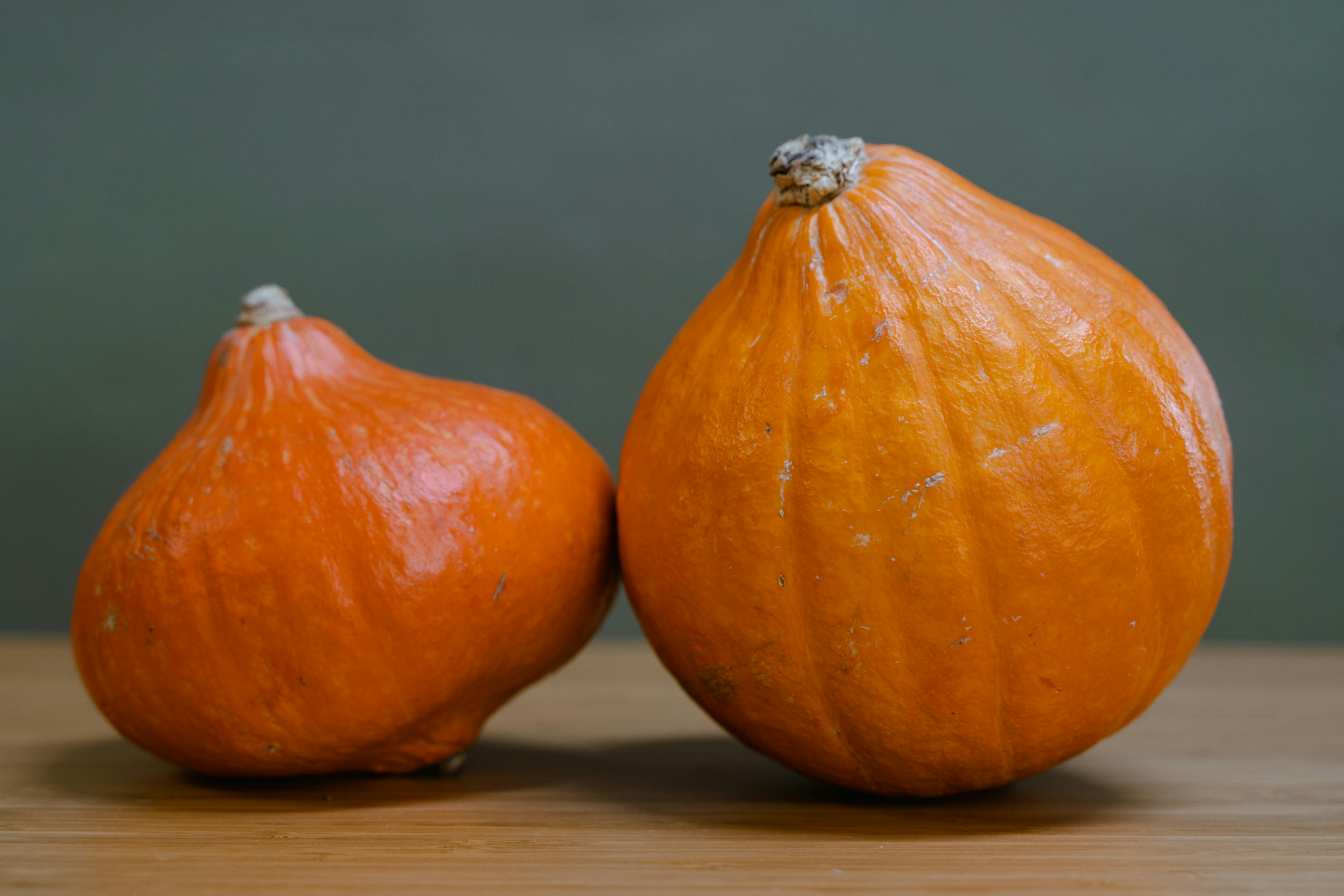 Hubbard_Squash