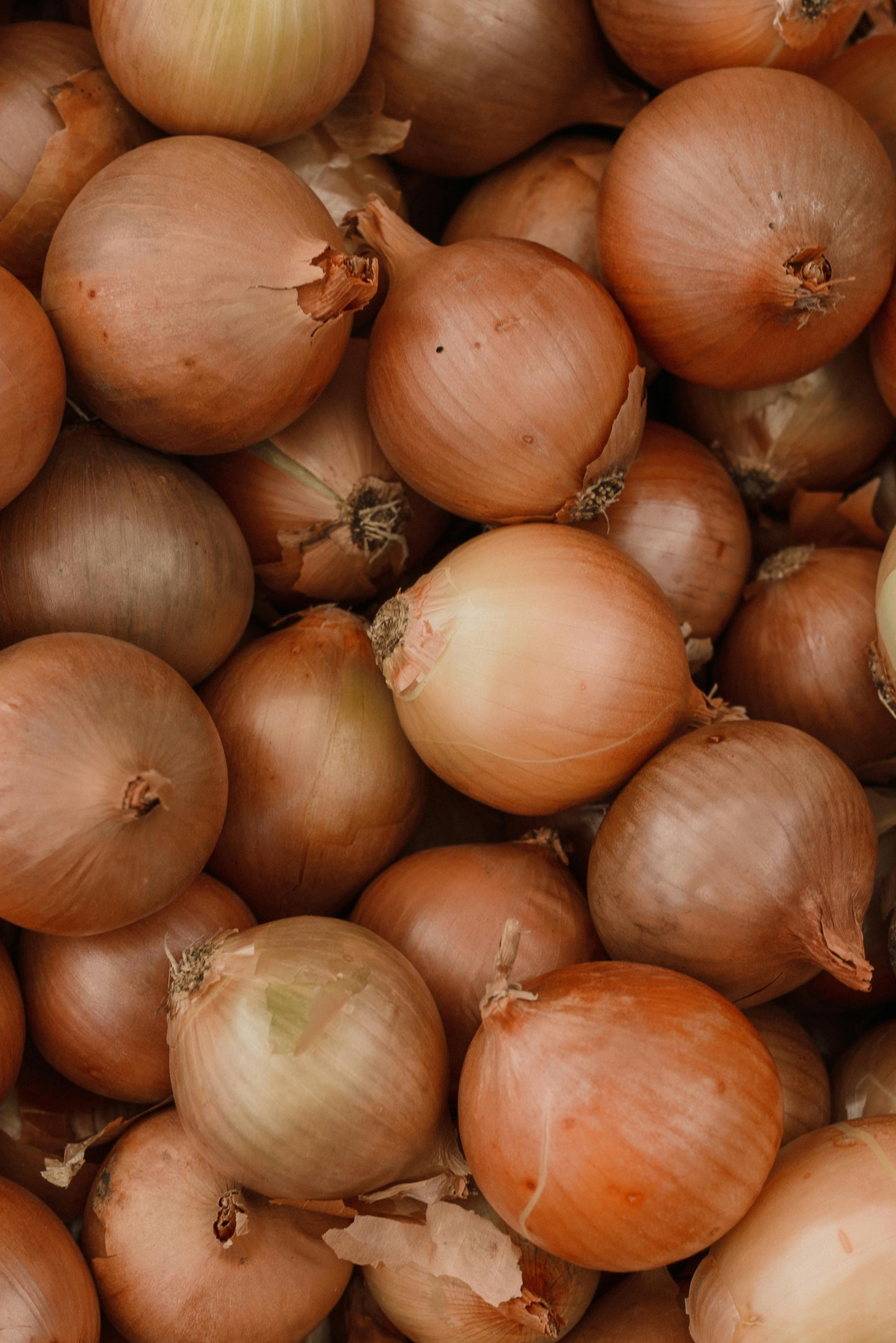 Onion_(Brown)