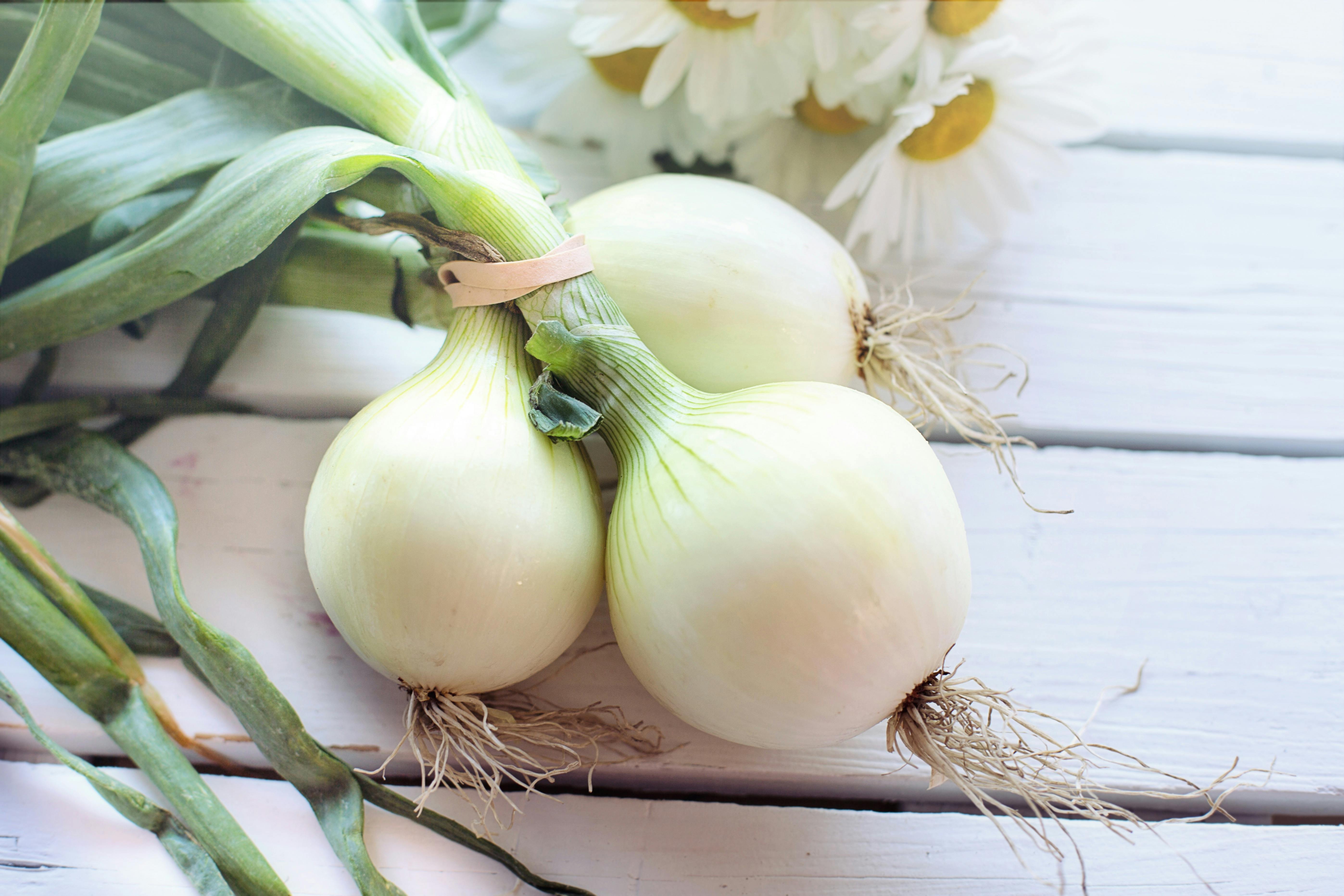 Spring_onion